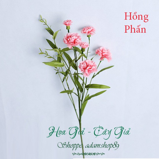 Hoa giả - Hoa CẨM CHƯỚNG luck cao cấp cực đẹp