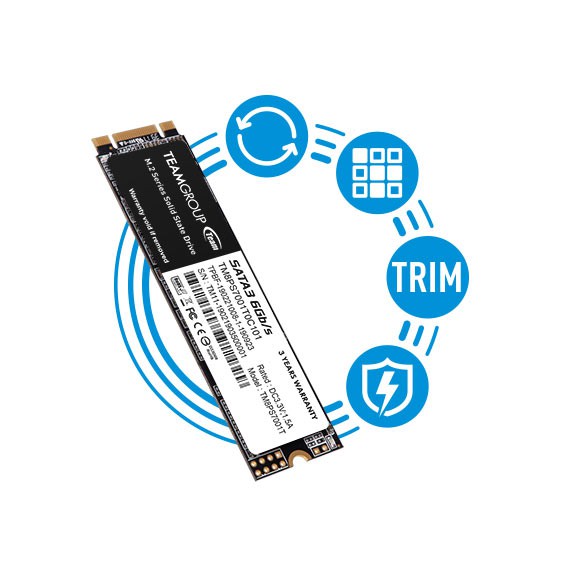 Ổ cứng Team Group SSD MS30 M.2 SATA SSD 128Gb - Hàng chính hãng