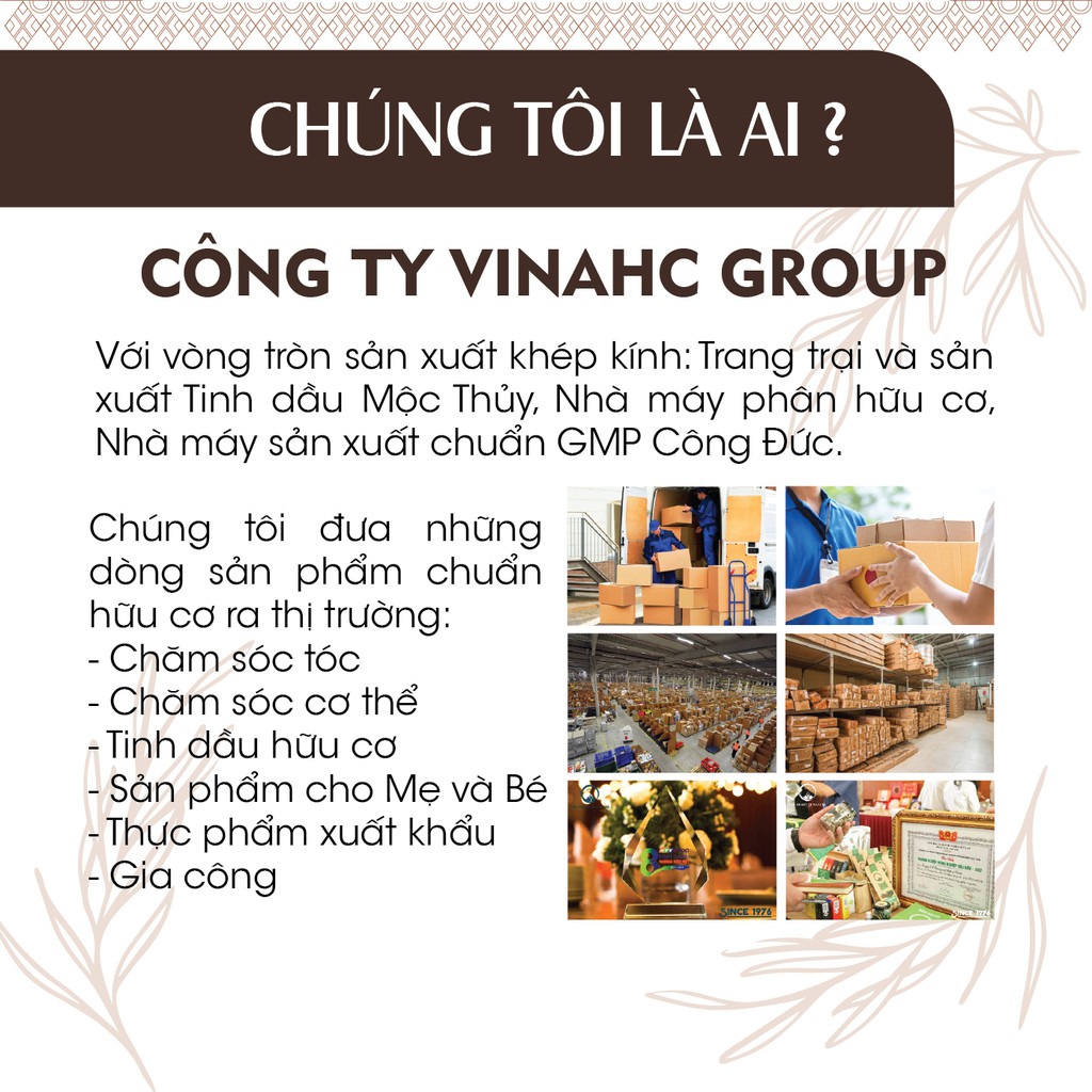 Bộ 3 chai Tinh dầu xịt phòng kháng khuẩn Sả chanh, Quế và Bạc Hà 24Care 100ml/chai