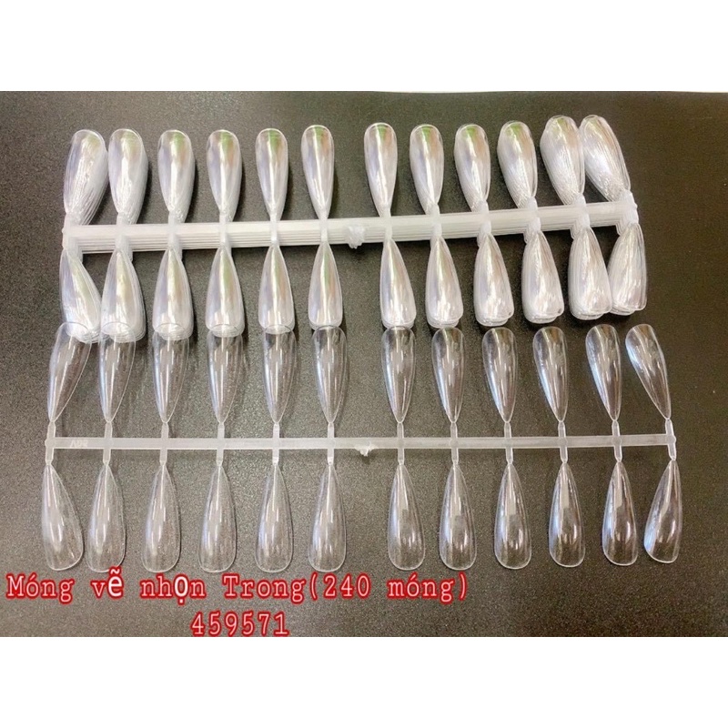 Vĩ móng nhọn tập sơn , tập vẽ