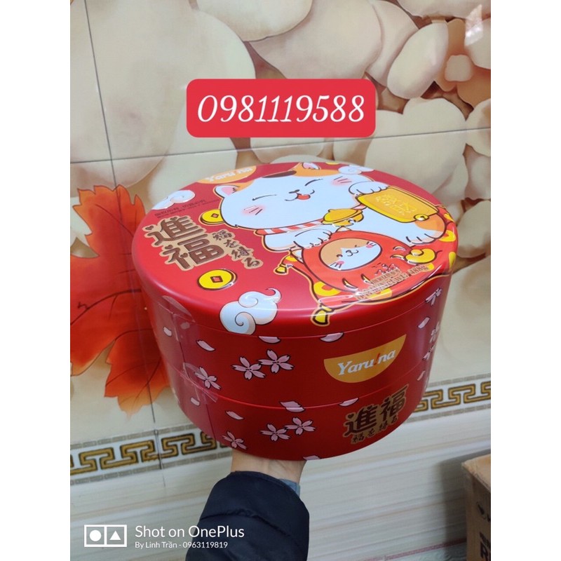 Sỉ 1 thùng bánh quy Mèo thần tài hộp tròn hộp vuông | BigBuy360 - bigbuy360.vn