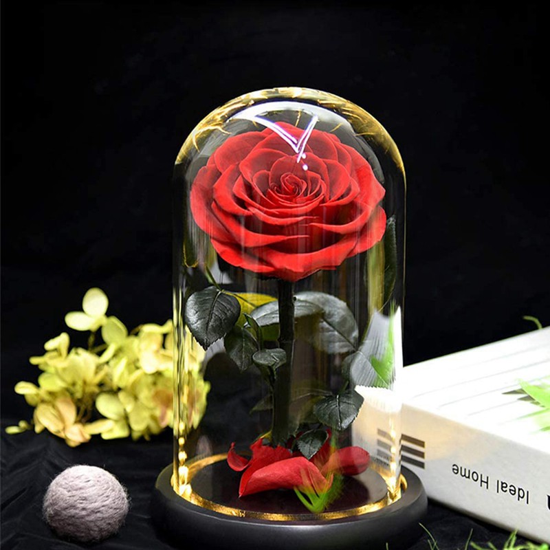 Forever Preserved Flower in Glass Dome Lamp for Gift Box,Pink