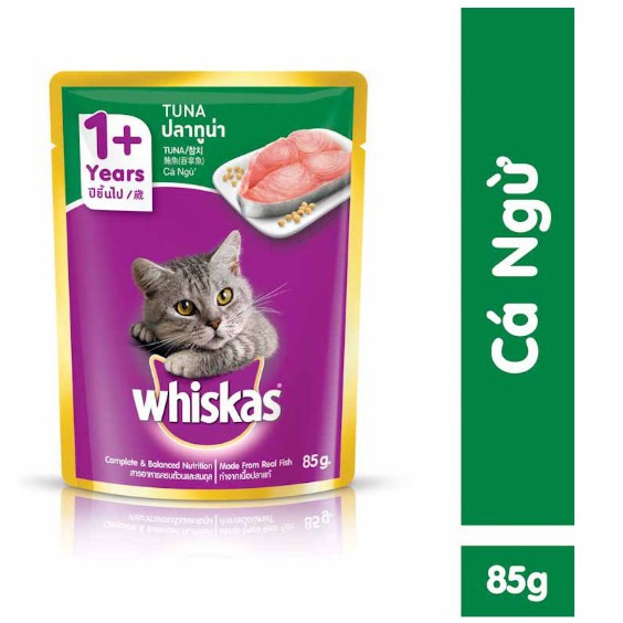 WK Patê mèo Whiskas 85g -xanh ngọc-Cá Ngừ(mèo con)