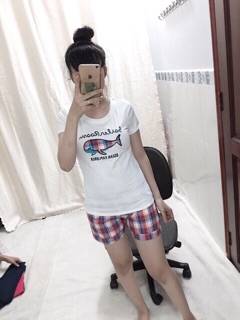 Bộ đùi thun phối kate