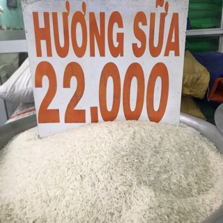 Gạo Hương Sữa- 5kg- 10kg