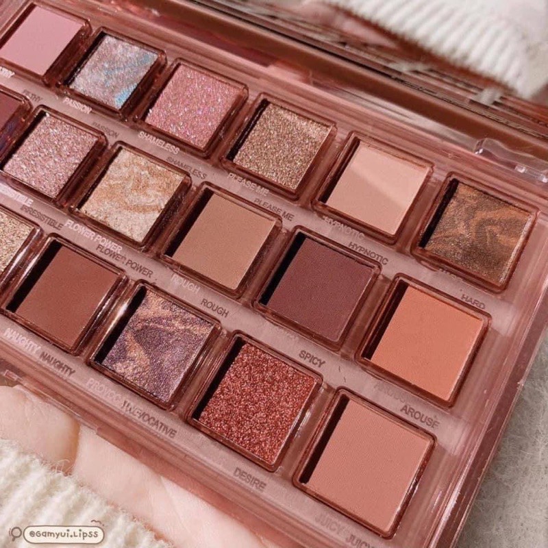 🌸 BẢNG MẮT 18 Ô NÂU TÂY 🌸 | BigBuy360 - bigbuy360.vn