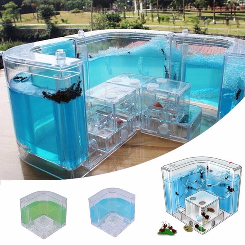 Mô Hình Lâu Đài Kiến Đồ Chơi Cho Bé