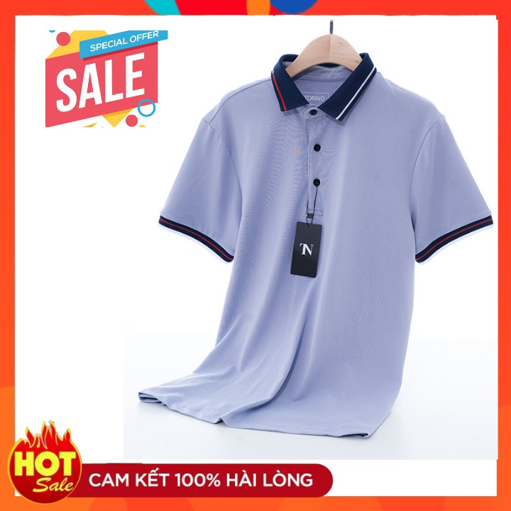 Áo Polo nam thương hiệu TORINO cotton cá sấu GHI SÁNG tay ngắn cổ sơ mi