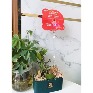 Kẹp quảng cáo mica