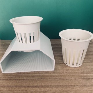 100Rọ nhựa thuỷ canh 65 - Dụng Cụ Nhà Vườn