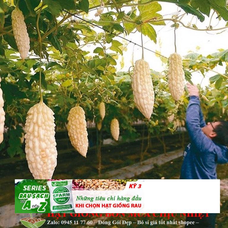 Hạt Giống Mướp Đắng Trắng Đài Loan- 05 hạt