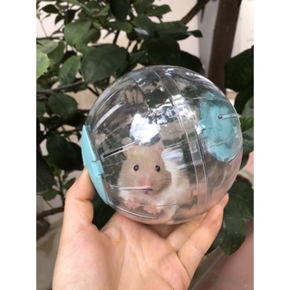Bóng chạy Hamster.sz 15cm