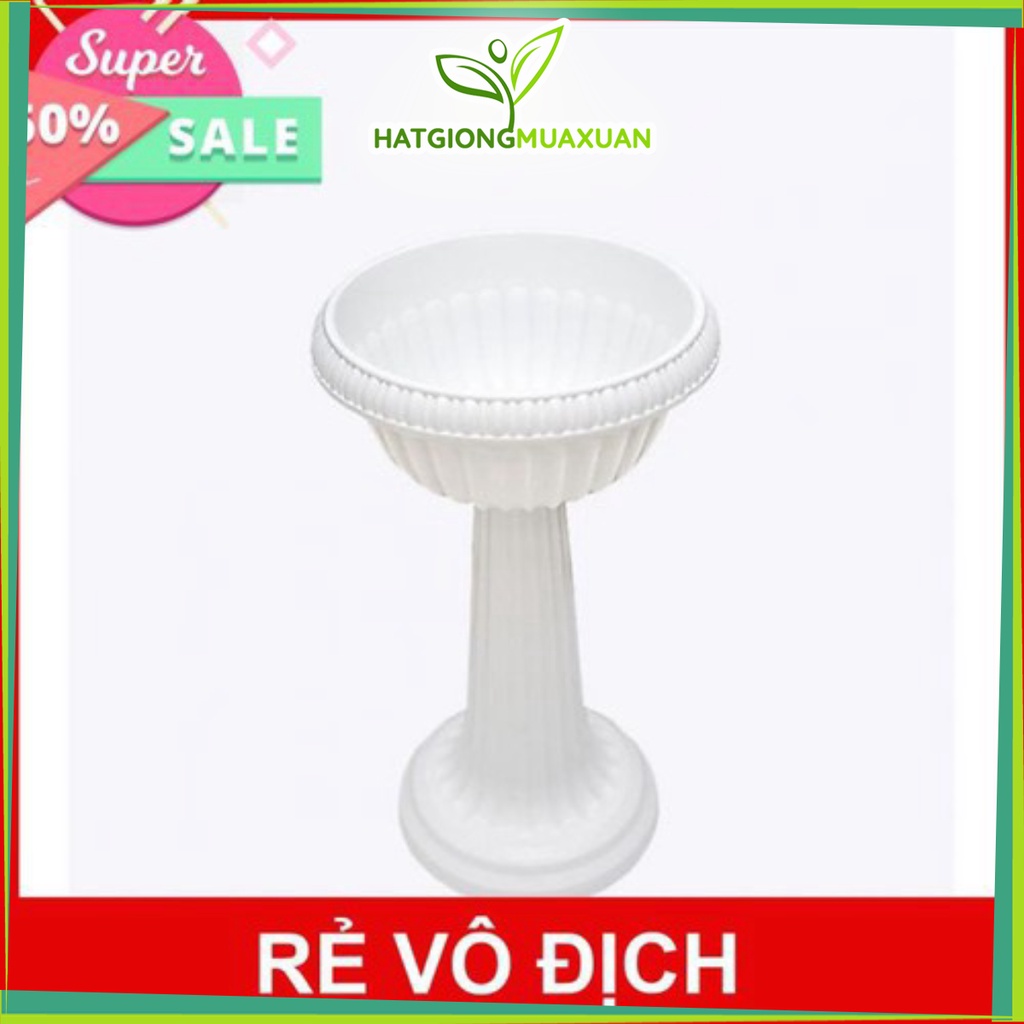 Chậu Nhựa Trồng Hoa - Chậu Ly Nhựa Có Chân Đế Cao
