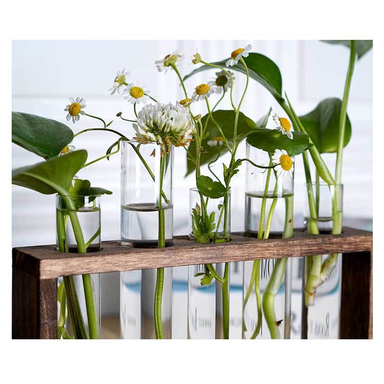 /CÓ SẴN/ Khung gỗ kèm lọ thủy tinh cắm hoa - bình trồng cây thủy sinh, bình cắm hoa, lá