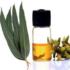 Tinh dầu Khuynh Diệp THE LENA Nguyên Chất (Eucalyptus Globulus)  Xông Phòng, Sổ Mũi, Tốt cho bé 10ml