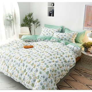 Bộ Chăn Ga Gối Cotton Basic