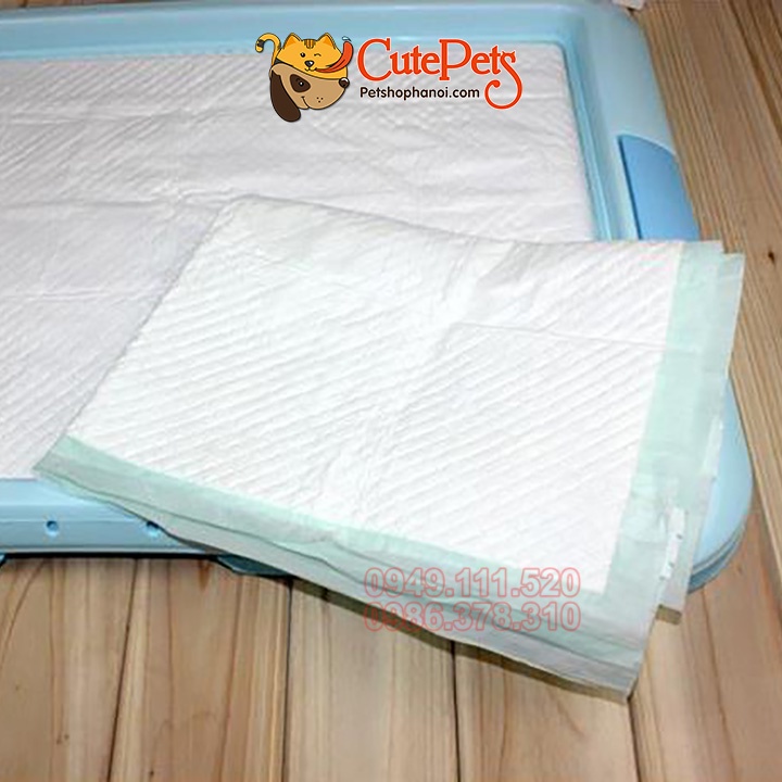 Tấm lót vệ sinh cho chó mèo Pet Diapers [Lẻ 5 cái] - Phụ kiện thú cưng Hà Nội