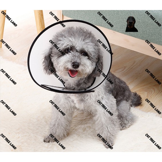 LOA ĐEO CHỐNG LIẾM CHO CHÓ MÈO - VÒNG CỔ BẢO VỆ CHÓ MÈO, CHỐNG TRẦY XƯỚC, KHÔNG THẤM NƯỚC