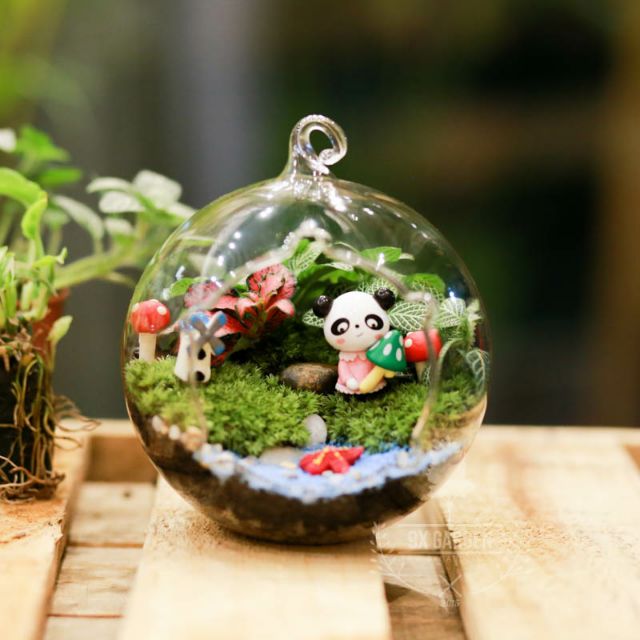 Terrarium - Thế giới muôn loài 2