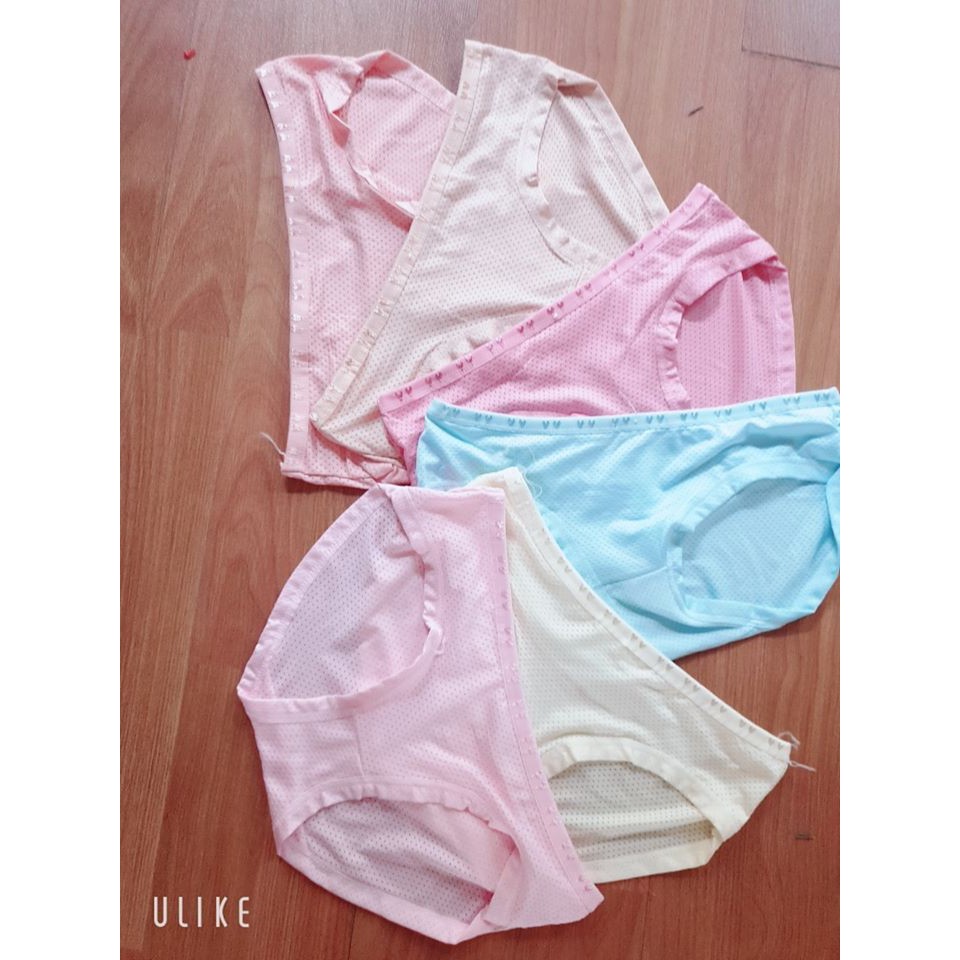Bộ 10 Quần Lót Nữ Cotton Thông Hơi Co Giãn Thoáng Mát Dưới 55kg