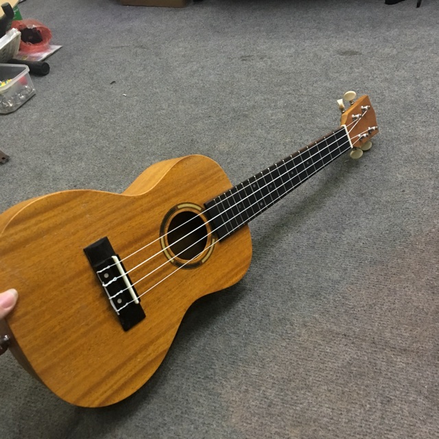 UKULELE CONCERT VIỀN TRÒN MỚI VỀ