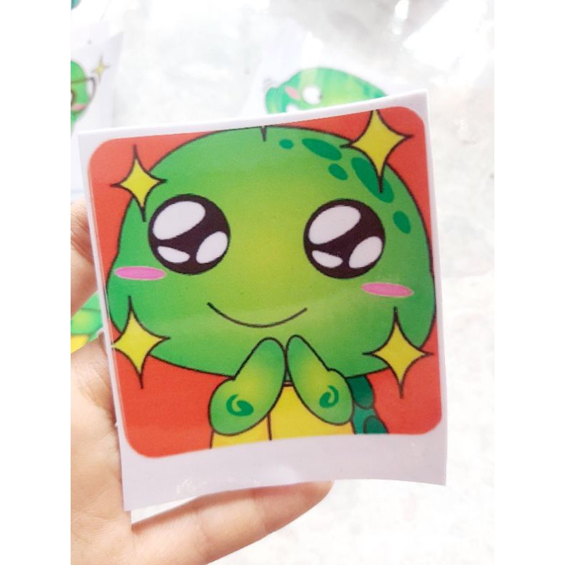 Tem Decal Rùa Cute Dán Xe, Nón Giá Rẻ