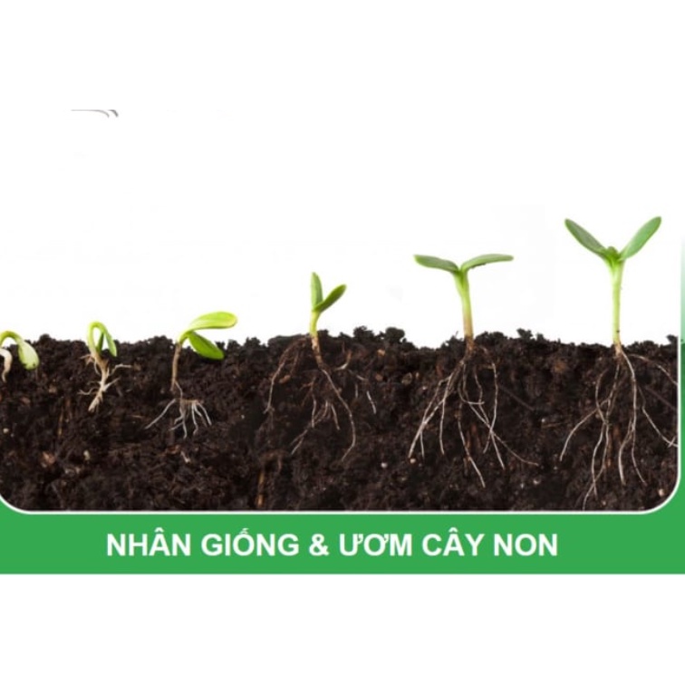 Rêu than bùn  Peatman  vô trùng, dùng làm bầu, giá thể trồng cho các loại cây, duy trì độ ẩm
