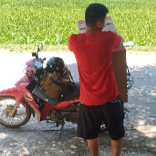 Quạt hơi nước Canaval CA-8800