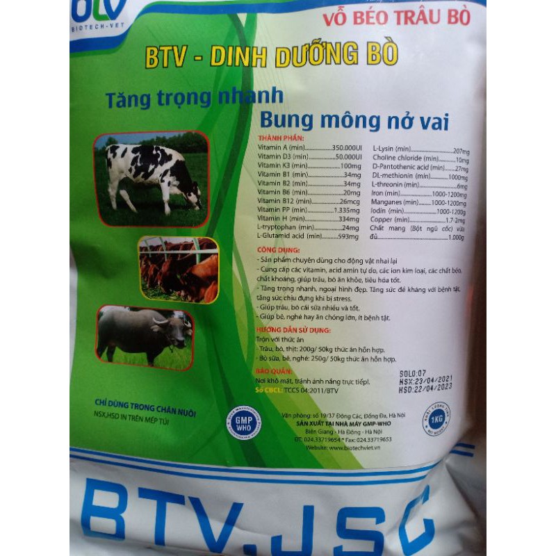 Vỗ béo Trâu ,bò 1 kg