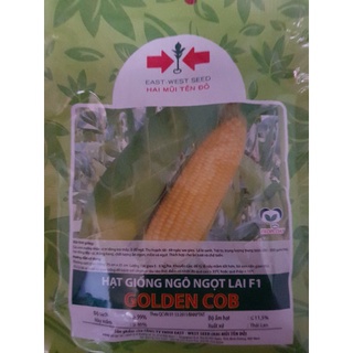 Hạt giống ngô siêu ngọt 50g