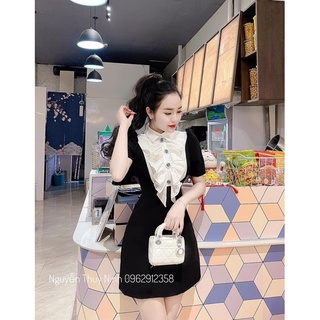 Váy phối cổ bèo 2 màu