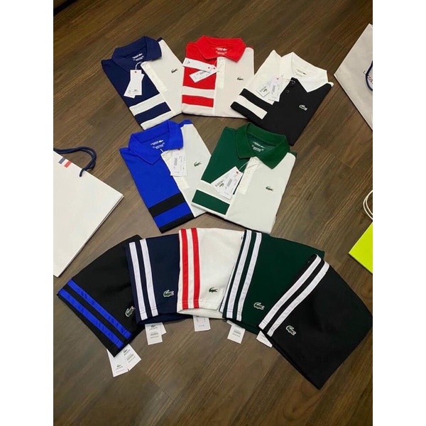 Áo POLO Nam LACOSTE Cá Sấu Cotton Cổ bẻ trẻ trung hiện đại