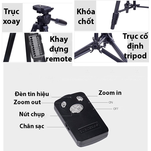 Gậy chụp hình 3 chân Tripod Yunteng 2508 cho máy ảnh điện thoại