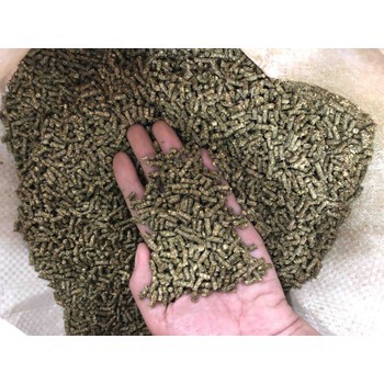 Viên cỏ Alfalfa linh lăng 3mm Italy 500g