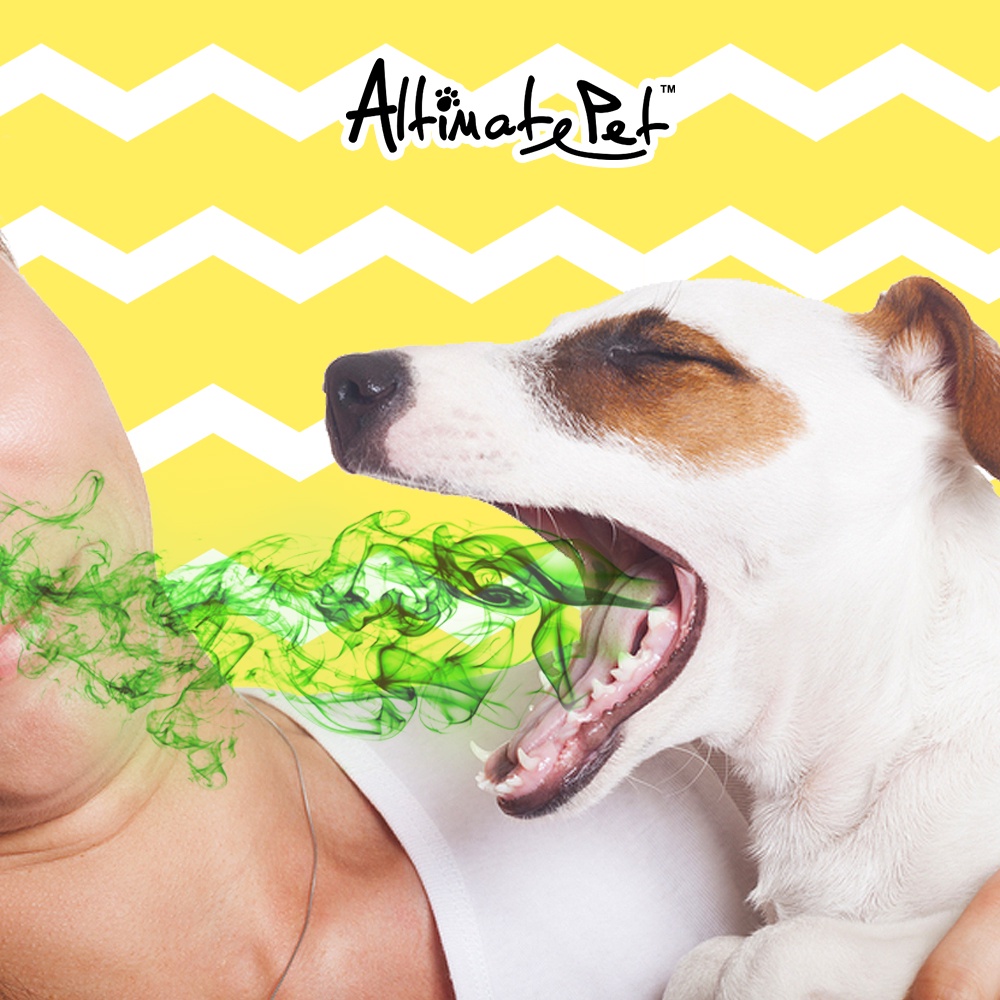 Xương gặm sạch răng thơm miệng cho chó hiệu Dental Chew hình bàn chải nhỏ 40g