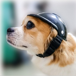 ◕♞Thú cưng mới mũ chó mèo phụ kiện thú cưng mũ đồ chơi