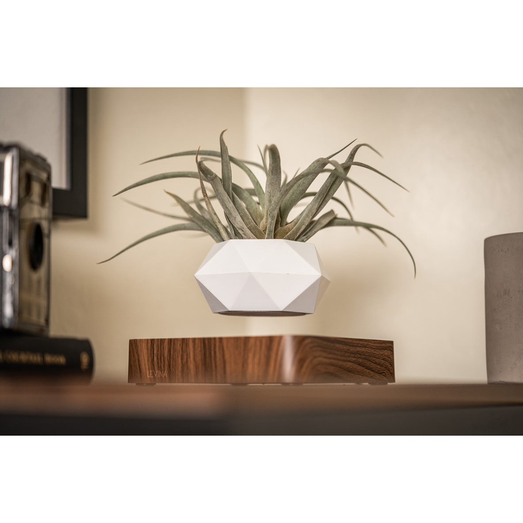 Chậu cây từ Air Bonsai bay lơ lửng nam châm