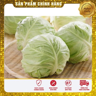 Hạt giống bắp cải
