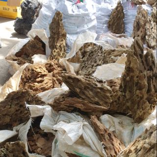 Đá tiger (thủy sinh nha trang) 1kg