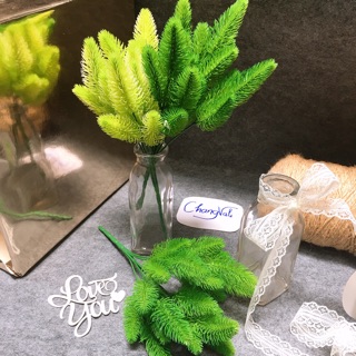Cụm cỏ rong đuôi thỏ trang trí ,điểm bó hoa