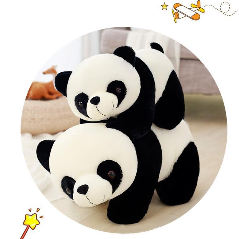 Gấu bông panda- gấu trúc dễ thương nhiều size lớn và nhỏ