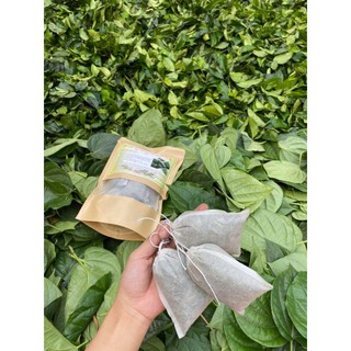 [9 túi lọc] Xông Trầu không- Trà xanh