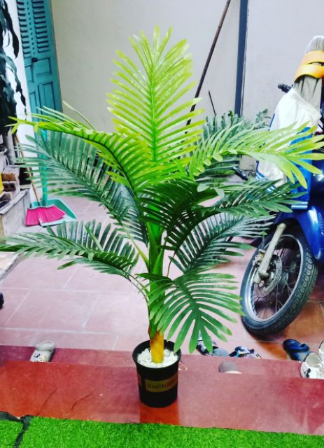 Cây Dừa Cảnh Gỉa cao 1m🌴- KO kèm chậu - Cây giả trang trí nhà cửa, decor. Màu sắc xanh, lá mềm đẹp tự nhiên