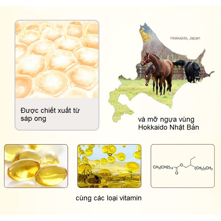 Kem dưỡng da tay mỡ ngựa 30g