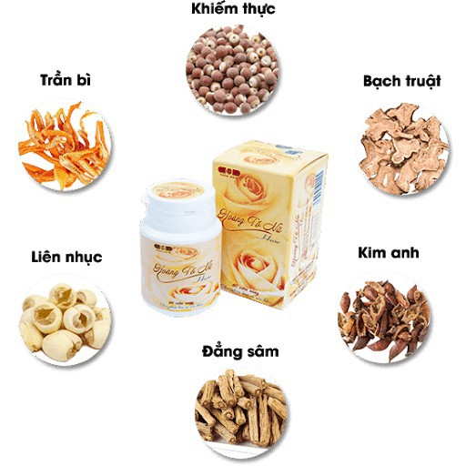 Hoàng Tố Nữ - Chăm sóc sức khỏe nữ giới (Hộp 60 viên)