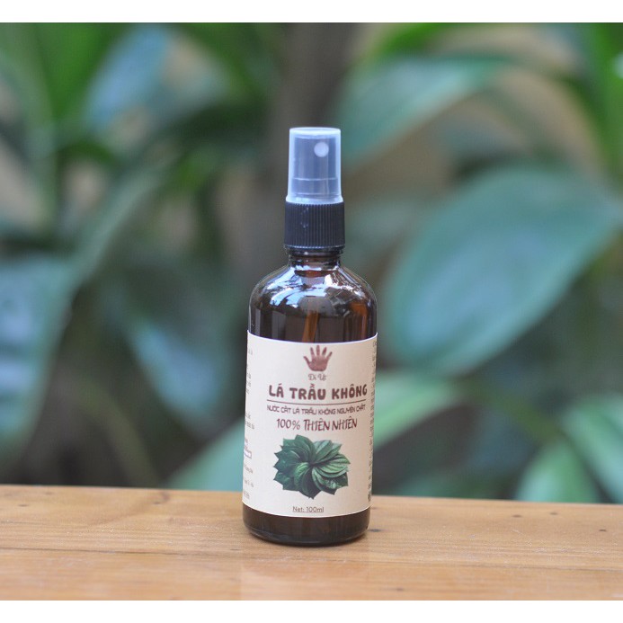 Nước cất lá trầu không  handmade chai  100ml