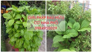 Tháp rau hữu cơ Organic Tower