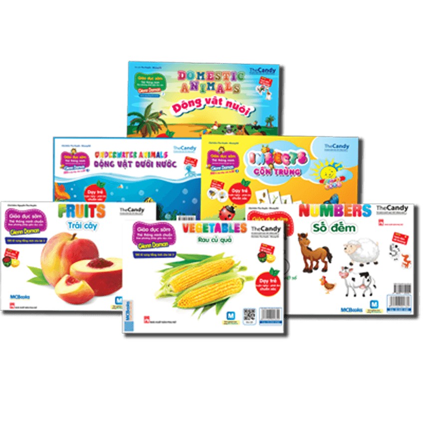 Flashcard - Thẻ Dạy Trẻ Theo Phương Pháp Glenn Doman - Côn Trùng (Insects)