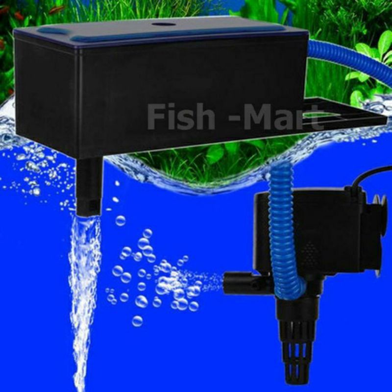 Máy Bơm Lọc Nước Hồ Cá Kèm hợp Lọc -Milo Guppy