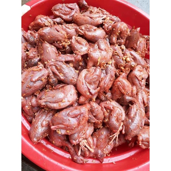 Chim cút tươi ❤️GIÁ SỈ ❤️ 10 con tẩm ướp sẵn lá móc mật